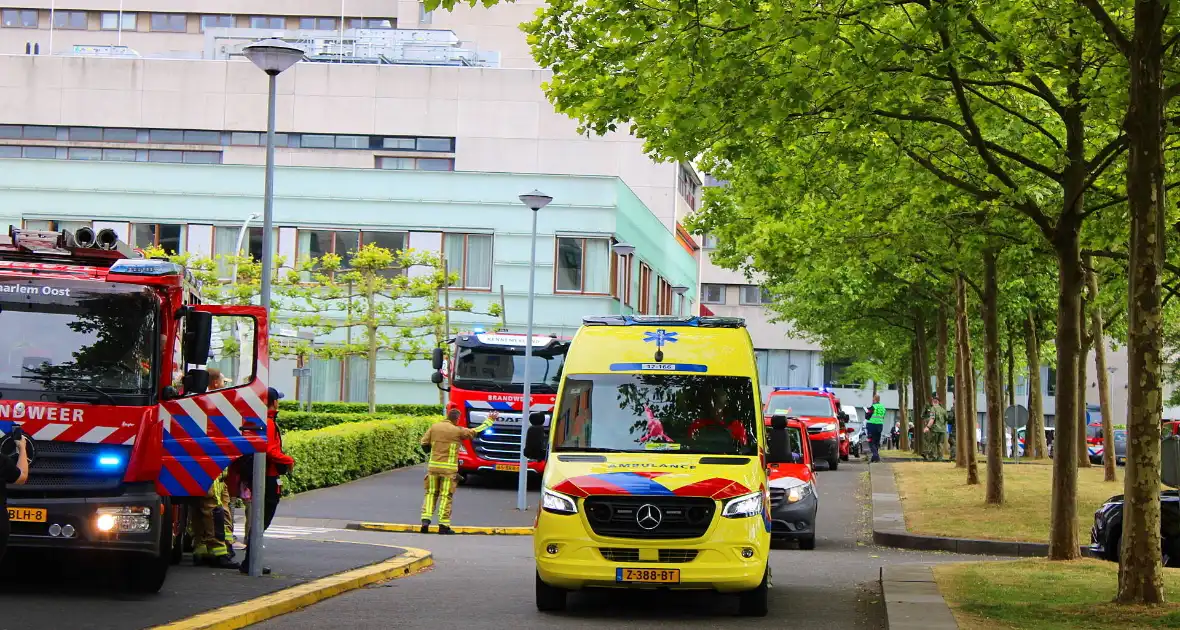 KinderBeestFeest zorgt voor onvergetelijke momenten - Foto 12
