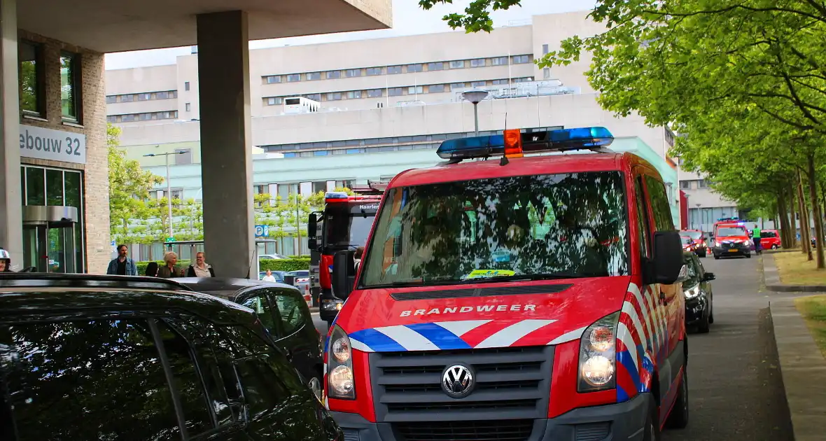 KinderBeestFeest zorgt voor onvergetelijke momenten - Foto 13