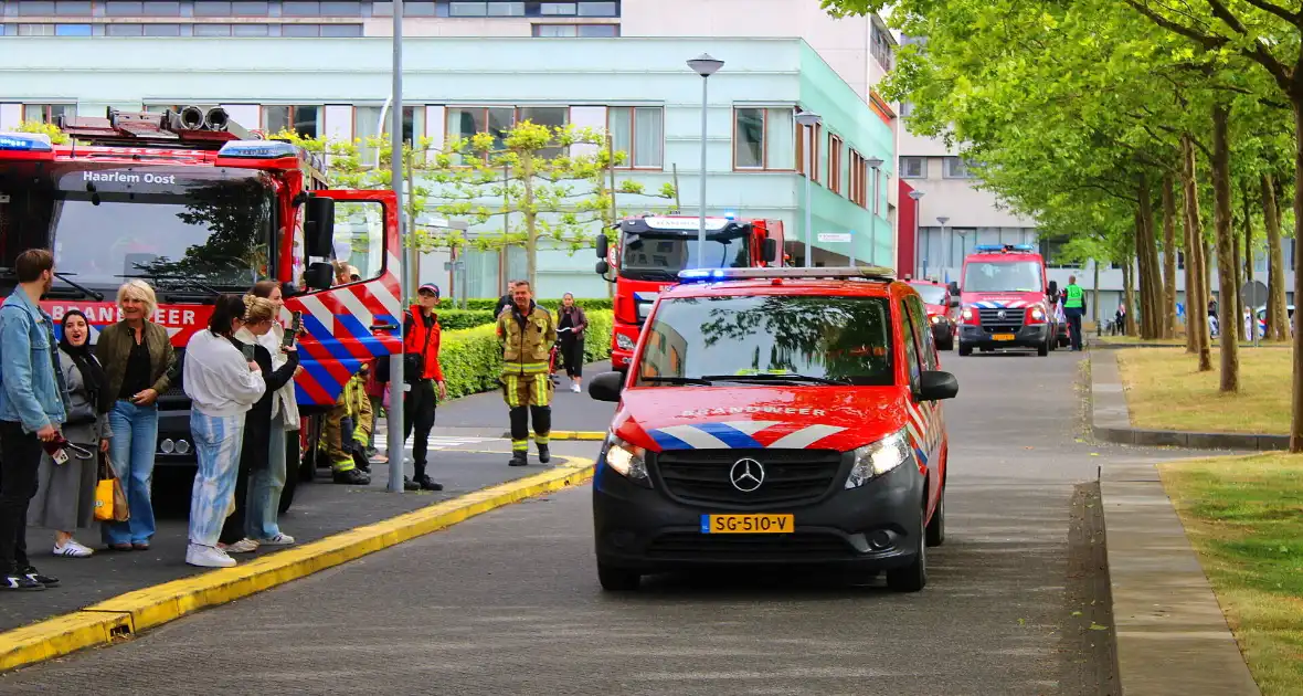 KinderBeestFeest zorgt voor onvergetelijke momenten - Foto 14