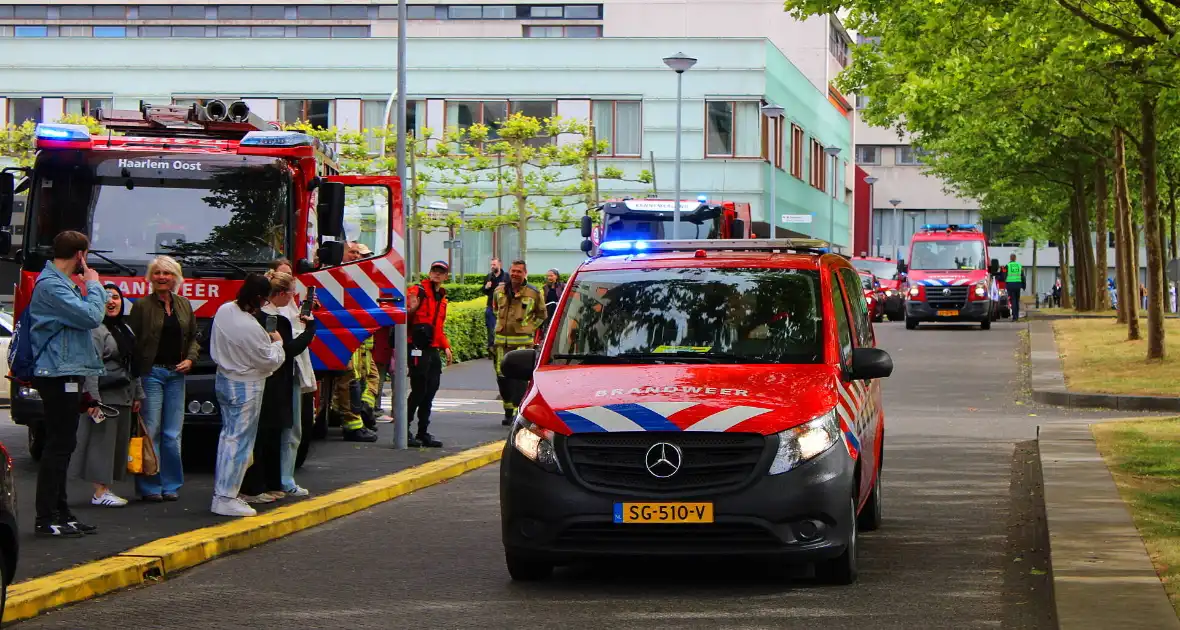 KinderBeestFeest zorgt voor onvergetelijke momenten - Foto 15