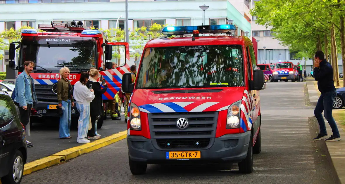 KinderBeestFeest zorgt voor onvergetelijke momenten - Foto 16