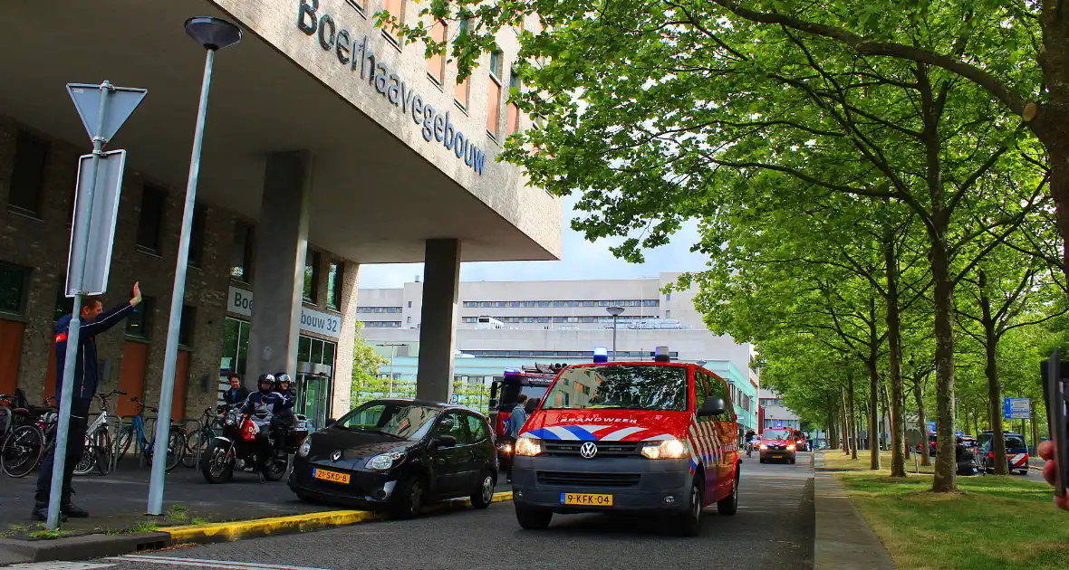 KinderBeestFeest zorgt voor onvergetelijke momenten - Foto 18