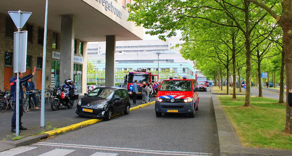 KinderBeestFeest zorgt voor onvergetelijke momenten - Foto 20