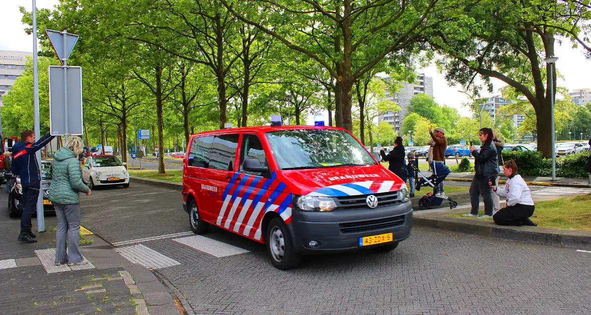 KinderBeestFeest zorgt voor onvergetelijke momenten - Foto 22