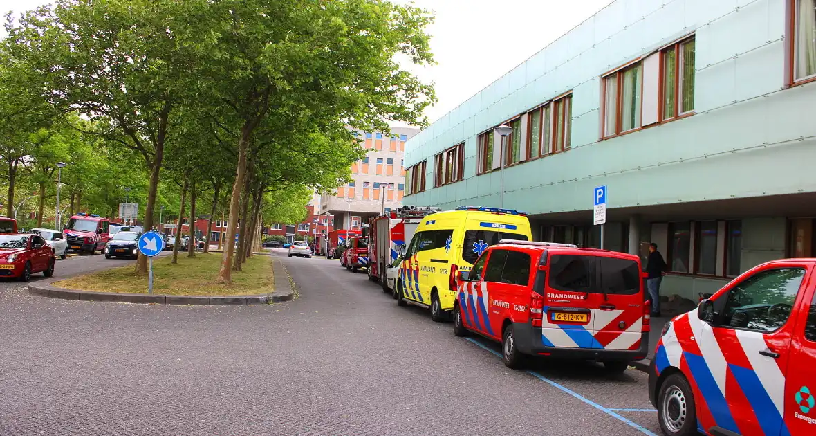 KinderBeestFeest zorgt voor onvergetelijke momenten - Foto 9