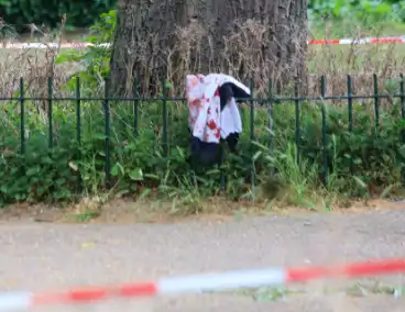 Schietincident leidt tot gewonde in park