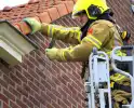 Zwaluw gered door brandweer