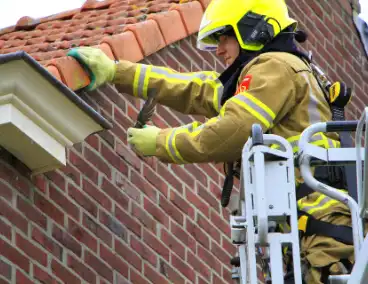 Zwaluw gered door brandweer