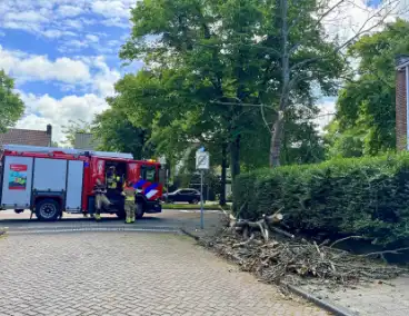Brandweer zaagt tak om gevaar te verminderen