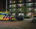 Steekincident leidt tot lichtgewonde