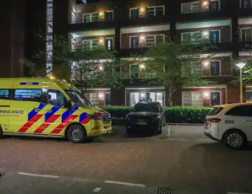 Steekincident leidt tot lichtgewonde