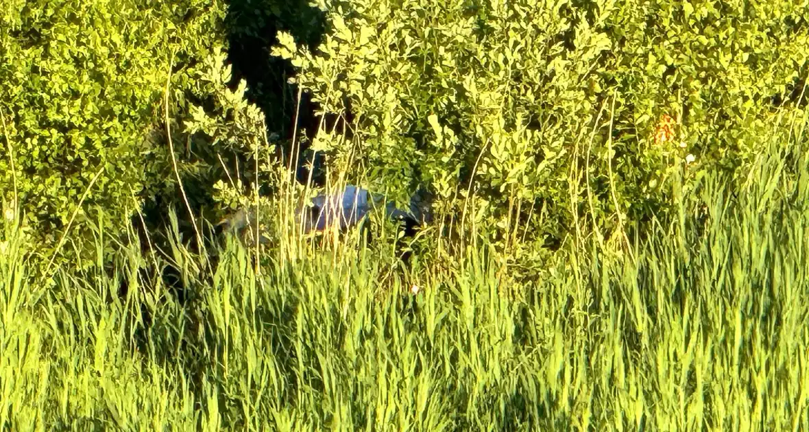 Ongeval leidt tot gewonden en verkeershinder - Foto 2