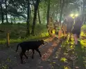 Wandelaars alert bij aantreffen kalf