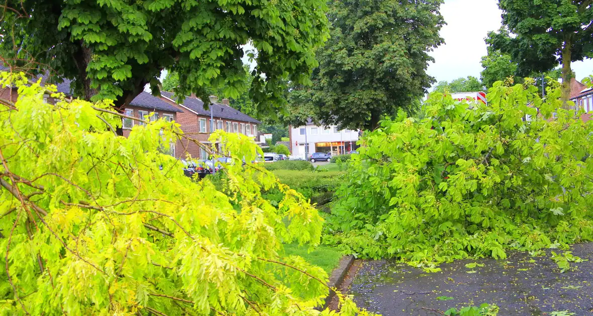 Noodweer zorgt voor meerdere stormschades - Foto 1
