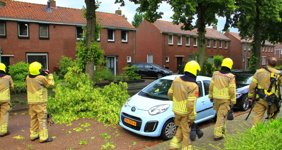 Noodweer zorgt voor meerdere stormschades - Foto 14