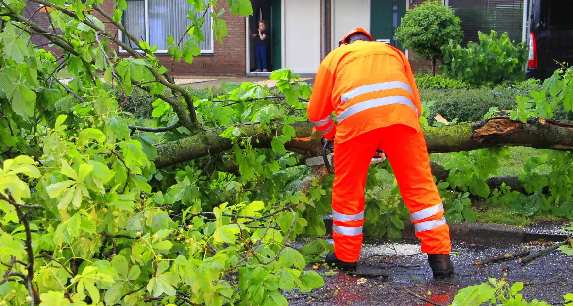 Noodweer zorgt voor meerdere stormschades - Foto 2