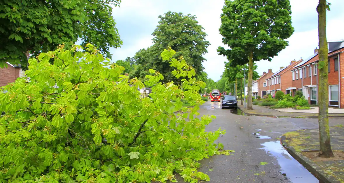 Noodweer zorgt voor meerdere stormschades - Foto 5