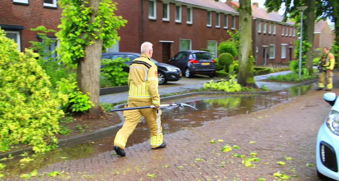Noodweer zorgt voor meerdere stormschades - Foto 9