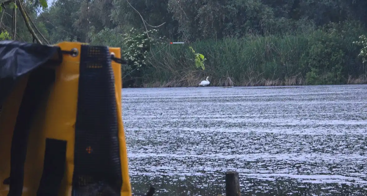 Brandweer ingezet voor mogelijke dier in problemen - Foto 1