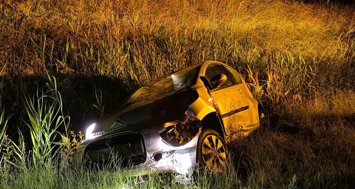 Auto belandt in sloot na het ontwijken van eend