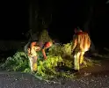 Grote boomtak blokkeert weg