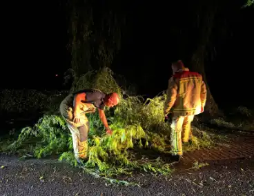 Grote boomtak blokkeert weg