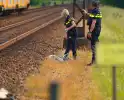 Opzettelijke actie verstoort treinverkeer