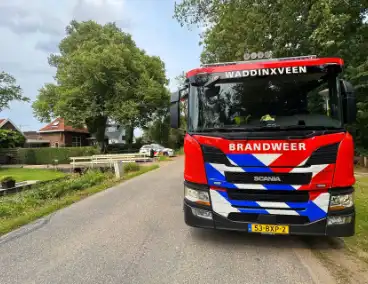 Brand in bosschages om onbekende oorzaak