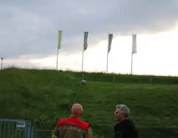 Brandweer ingezet voor schaap