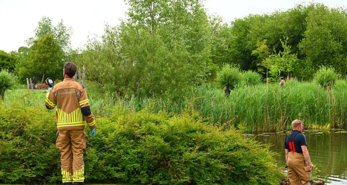 Grote zoekactie na kledingvondst - Foto 3