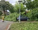 Wederom valt boom op auto