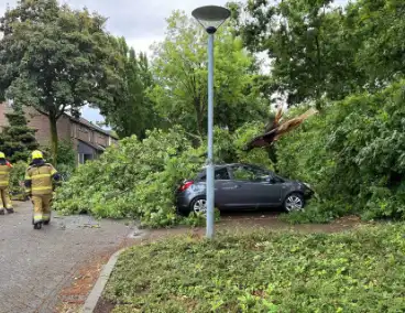 Wederom valt boom op auto