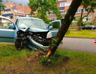 Bestelauto botst frontaal op boom