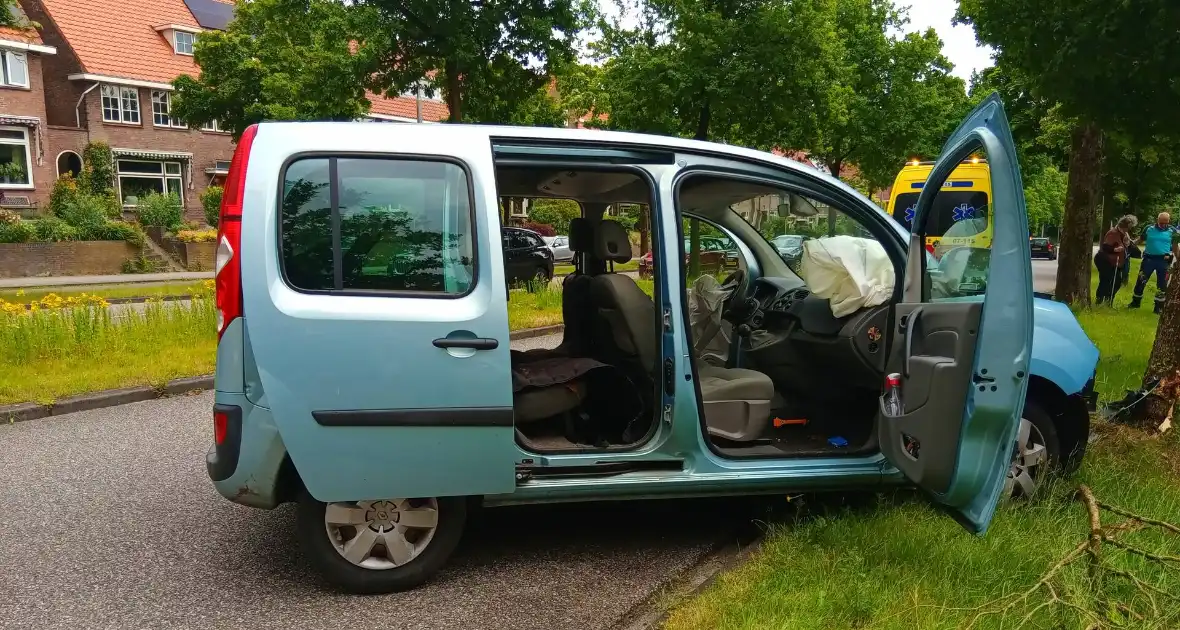 Bestelauto botst frontaal op boom - Foto 1