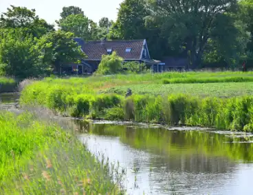 Minirooimachine belandt in vaart