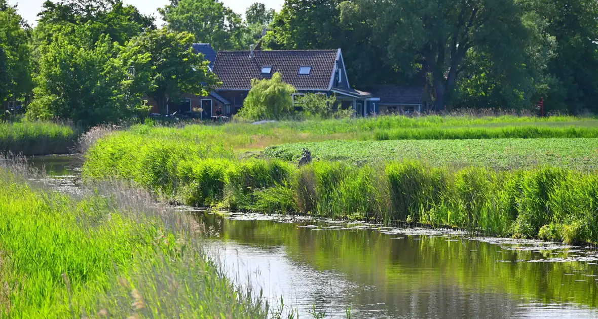 Minirooimachine belandt in vaart - Foto 1