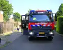 Buitenbrand verwoest coniferenhaag