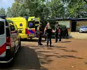 Wespsteek leidt tot inzet traumahelikopter