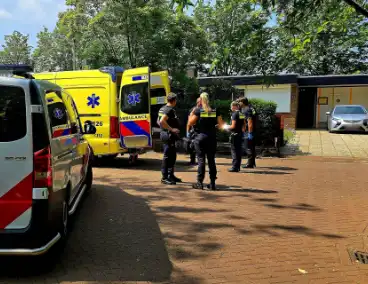 Wespsteek leidt tot inzet traumahelikopter