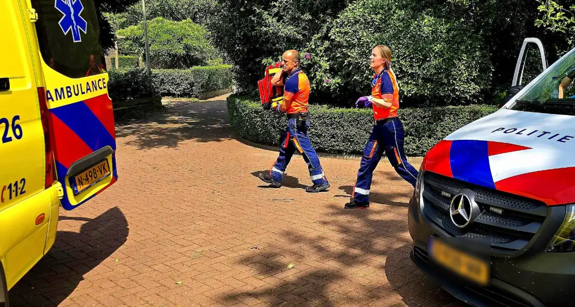 Wespsteek leidt tot inzet traumahelikopter - Foto 1