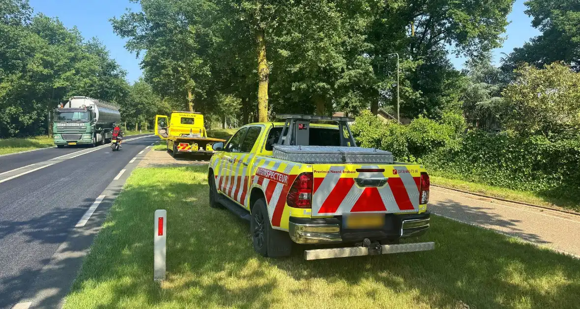 Shetland pony wordt slachtoffer van ongeval op drukke weg - Foto 3