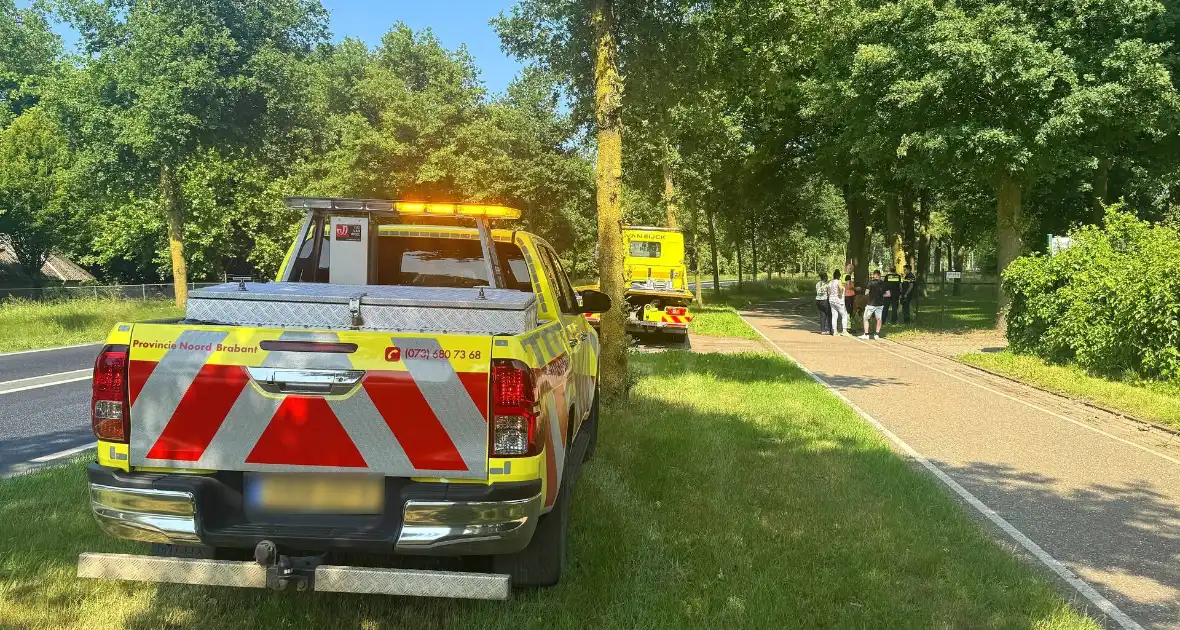 Shetland pony wordt slachtoffer van ongeval op drukke weg - Foto 5
