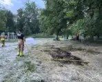 Brand in grasveld snel onder controle