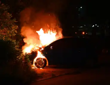 Voertuig in vlammen opgegaan