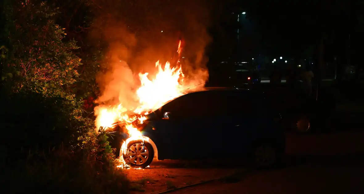 Voertuig in vlammen opgegaan - Foto 1