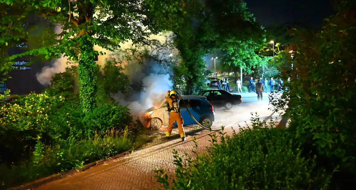 Voertuig in vlammen opgegaan - Foto 6