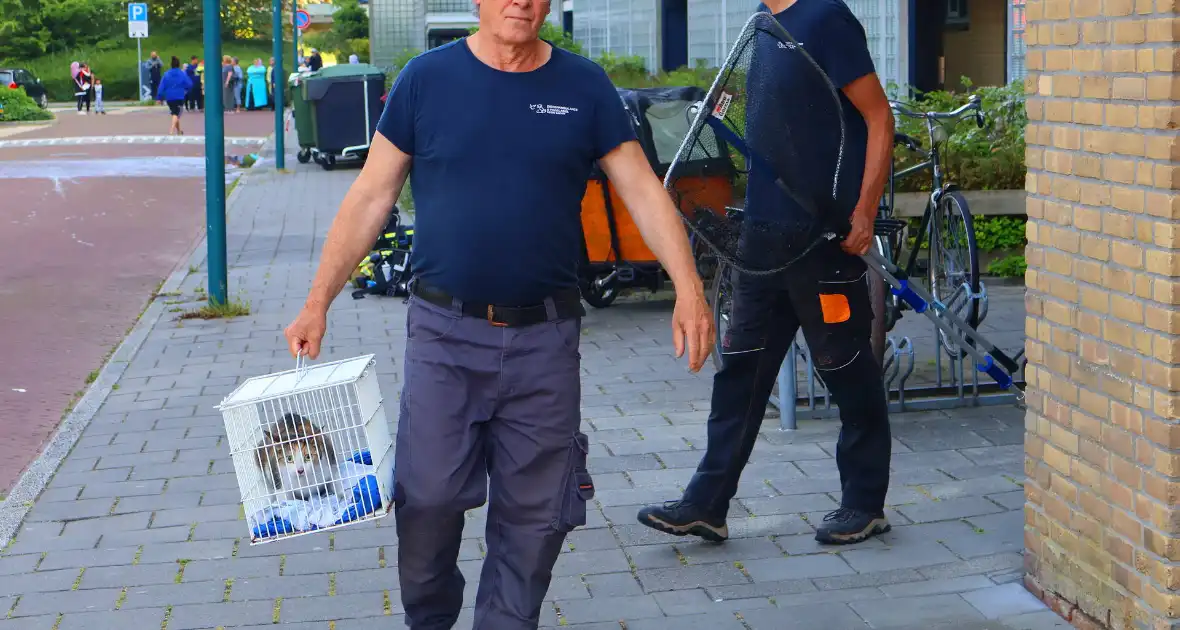 Uitslaande brand leidt tot gewonde - Foto 9