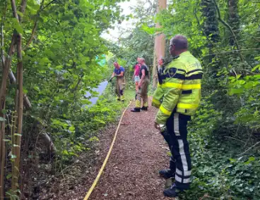 Passanten blussen brand in bosschages