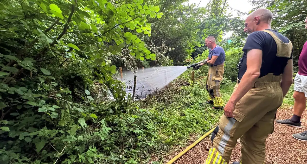 Passanten blussen brand in bosschages - Foto 1