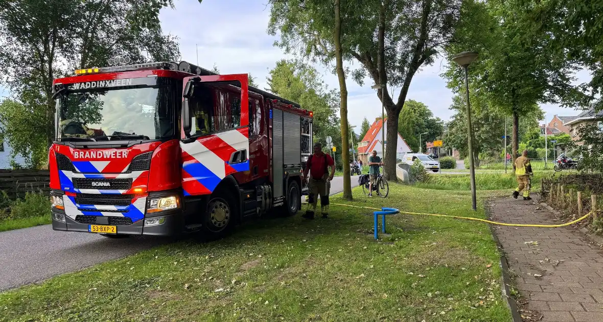 Passanten blussen brand in bosschages - Foto 2